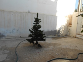 The naked tree, in the drive, getting showered.  Better a little more rust than a whole bunch of dust.